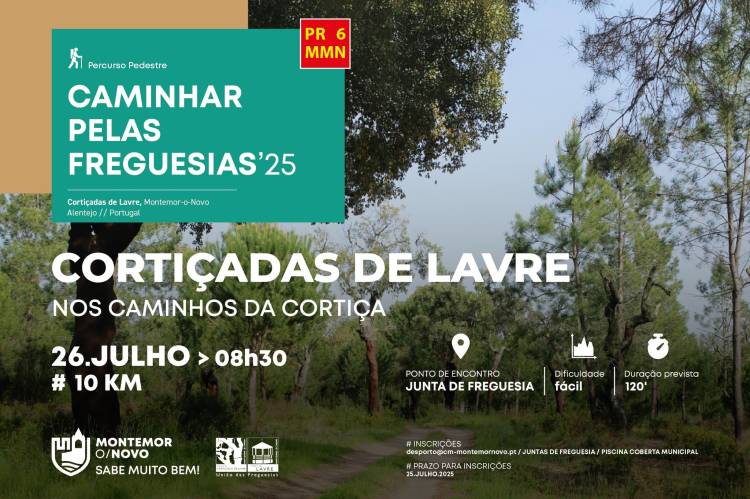 CAMINHAR PELAS FREGUESIAS '25: CORTIÇADAS DE LAVRE