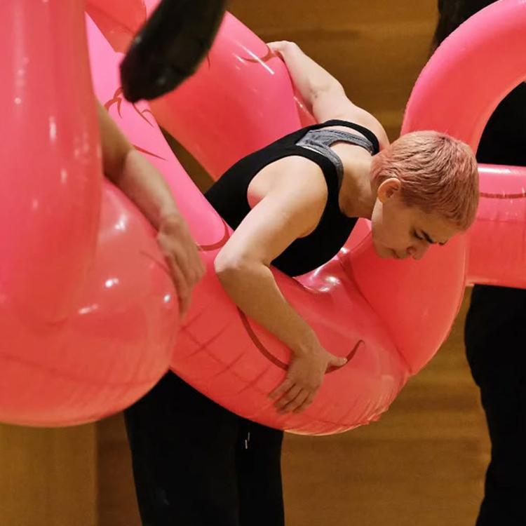 Quantos flamingos são precisos para fazer uma festa?