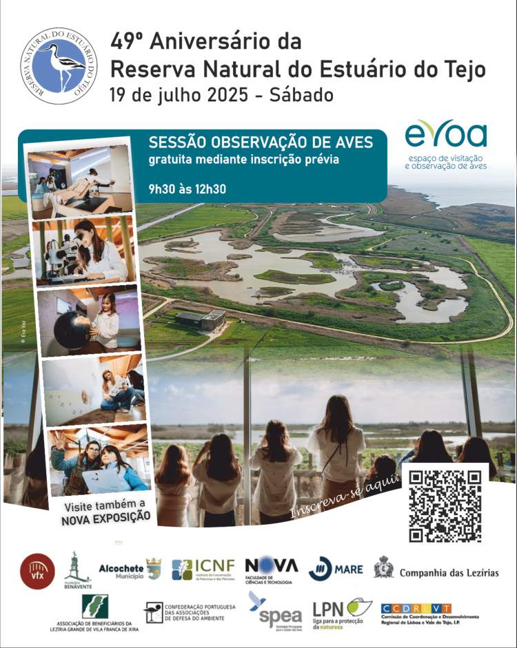 Sessão de observação de aves no EVOA