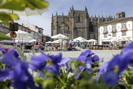 FEIRA DE ANTIGUIDADES E COLECIONISMO