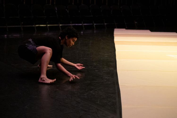 Violetas | Vânia Doutel Vaz