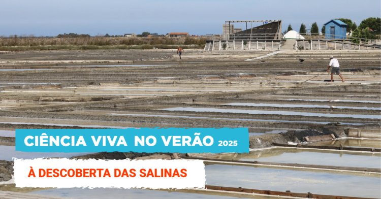 À descoberta das salinas