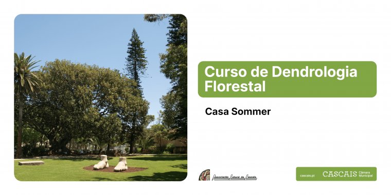 Curso de Dendrologia Florestal