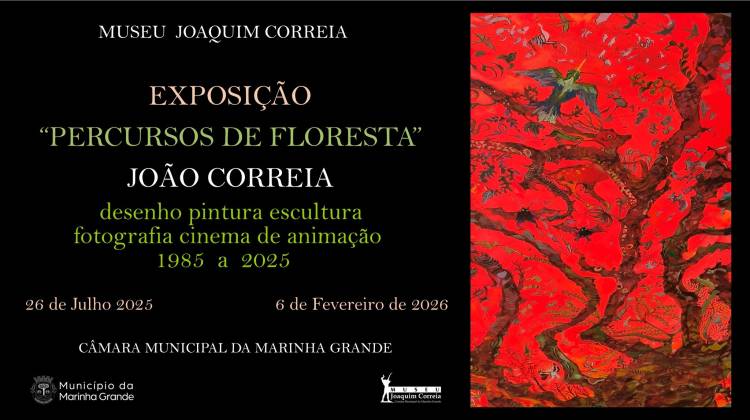 Inauguração 'Percursos de Floresta', de João Correia