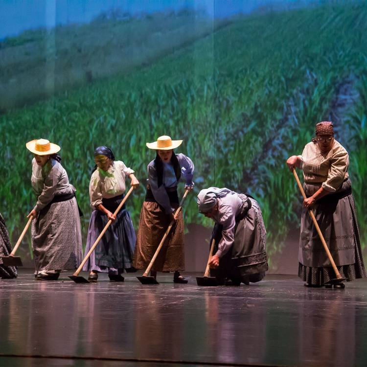 Numa noite o ano inteiro