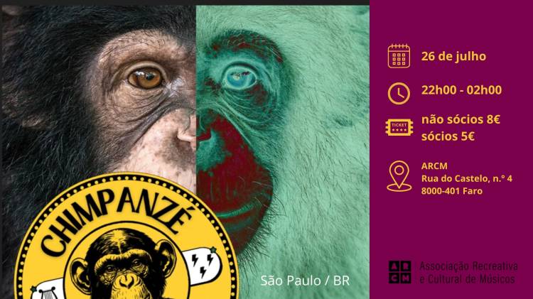 Chimpanzé - concerto 