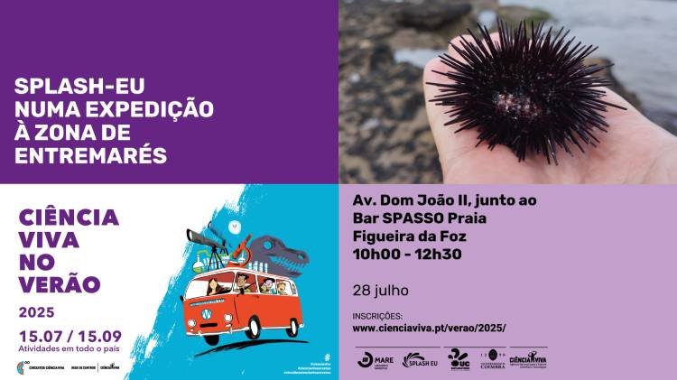  SPLASH-EU numa expedição à zona de entremarés | Ciência Viva no Verão