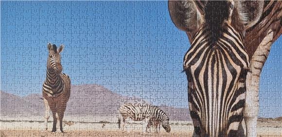 Exposição “Peça por Peça”