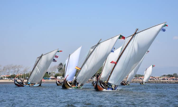 Semana do Emigrante | Regata de Barcos Moliceiros