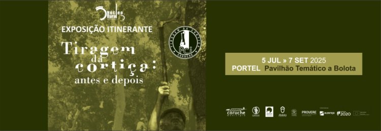 Exposição: Tiragem de Cortiça – Antes e Depois