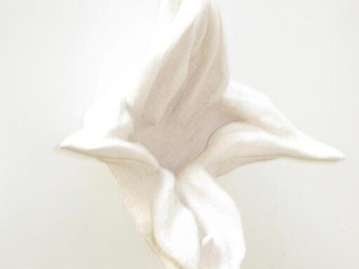 'A distância da Folha'