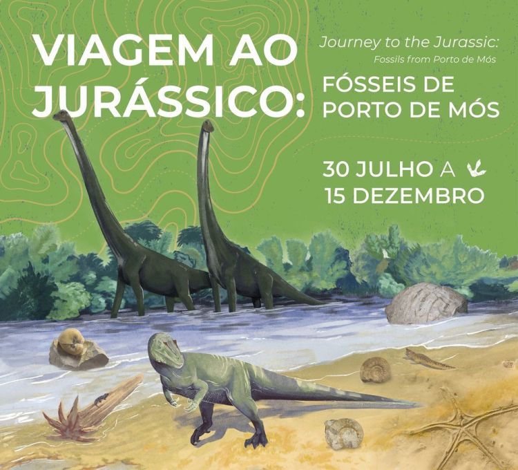 Viagem ao Jurássico: Fósseis de Porto de Mós - Exposição