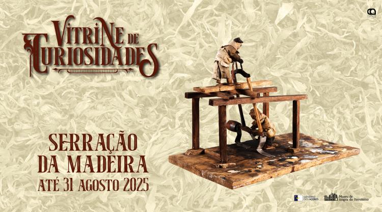 Vitrine de Curiosidades | Serração de Madeira