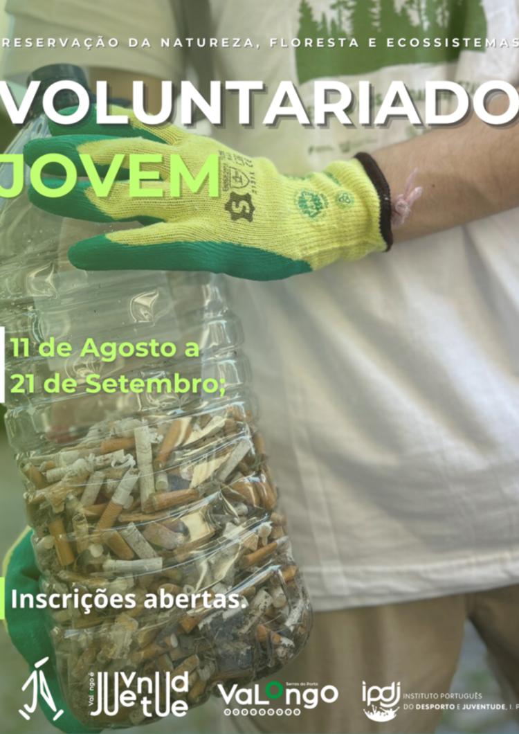 Inscrições abertas para Voluntariado Jovem para a Natureza e Floresta - 2025