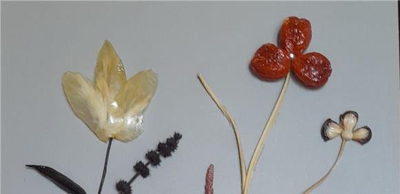 Exposição “Arte com pedra”