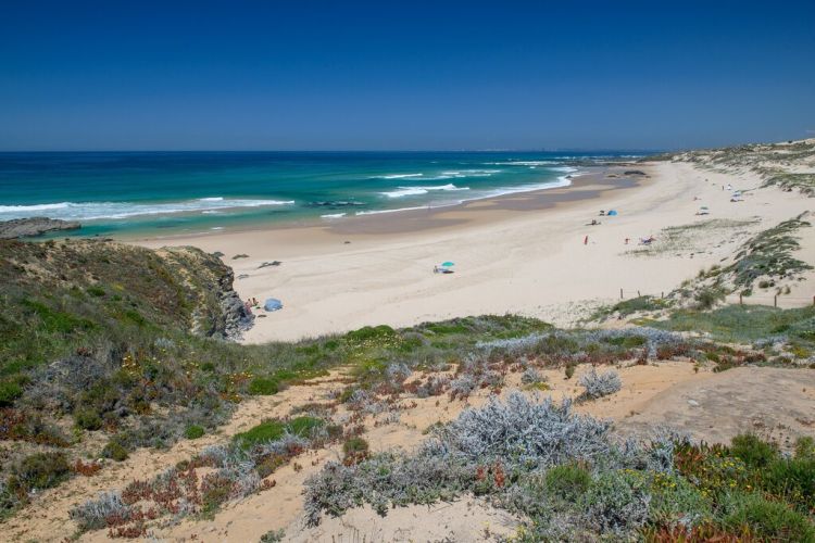Dispersão de sementes em habitats dunares