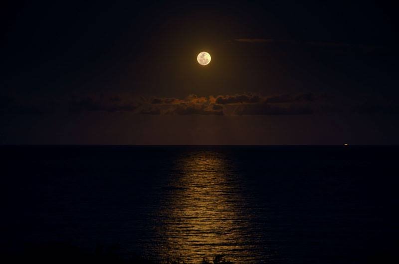 Cruzeiro ao Luar (com Petiscos Ribatejanos e Prova de Vinhos)
