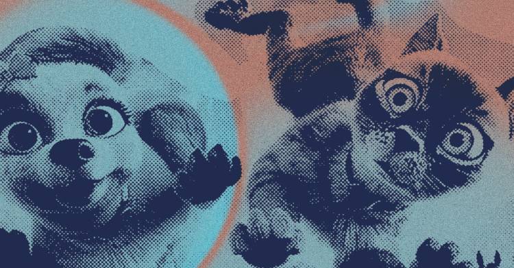 Gracie e Pedro - Dupla Improvável