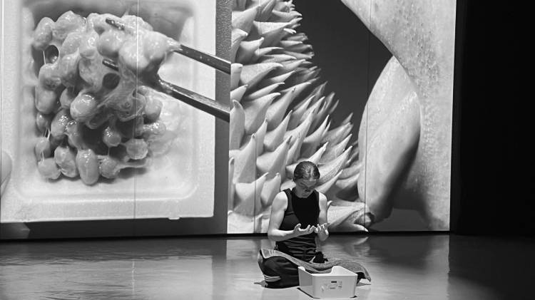 UnSilent Mode Vol. II: Seen/Unseen - B. Carpio, C. Passarinho, K. Shine, K. Wong - Secção Oficial