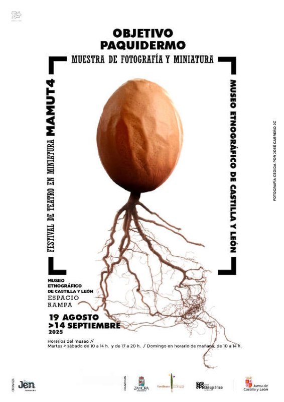  OBJETIVO PAQUIDERMO 2025 | Muestra de Fotografía y Miniatura