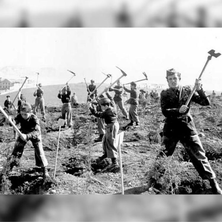 Curso: Portugal Contemporâneo: Séculos XIX e XX