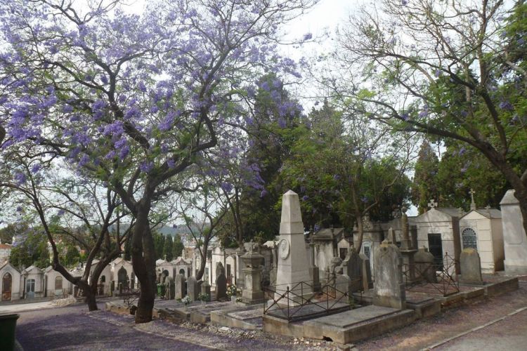 Cemitérios de Lisboa – Percursos guiados