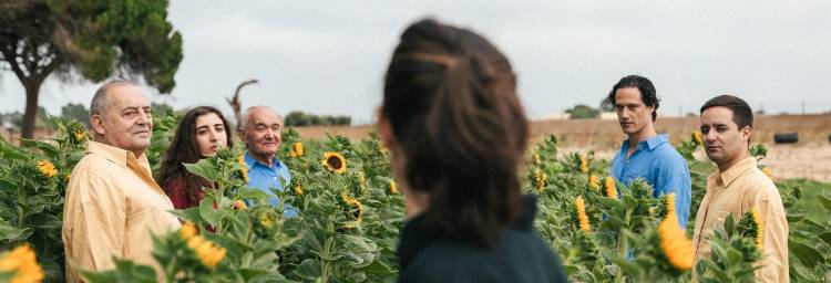 Dançar no Verão em 3 Actos [teatro]