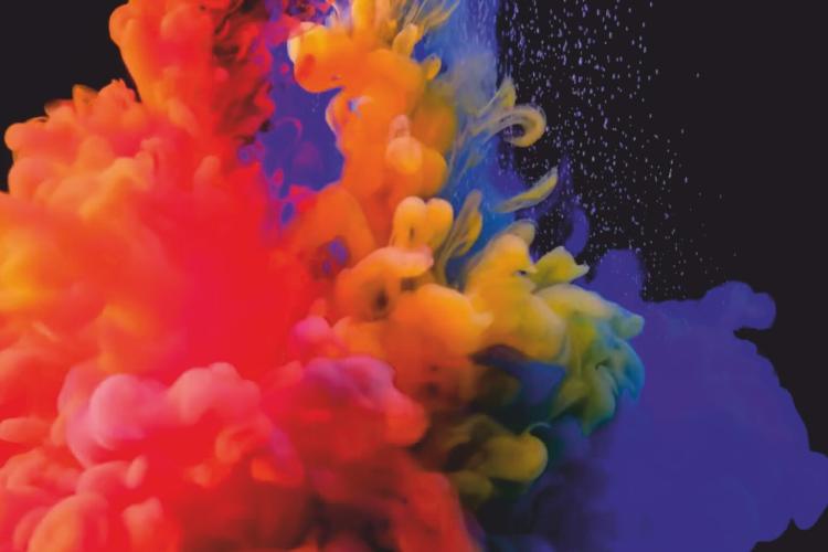 AMÁLGAMAS DE ANA NUNES