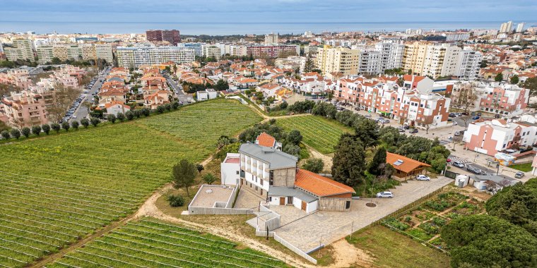 Roteiros do Património Concelhio |  O Mosteiro de Santa Maria do Mar e o Vinho de Carcavelos