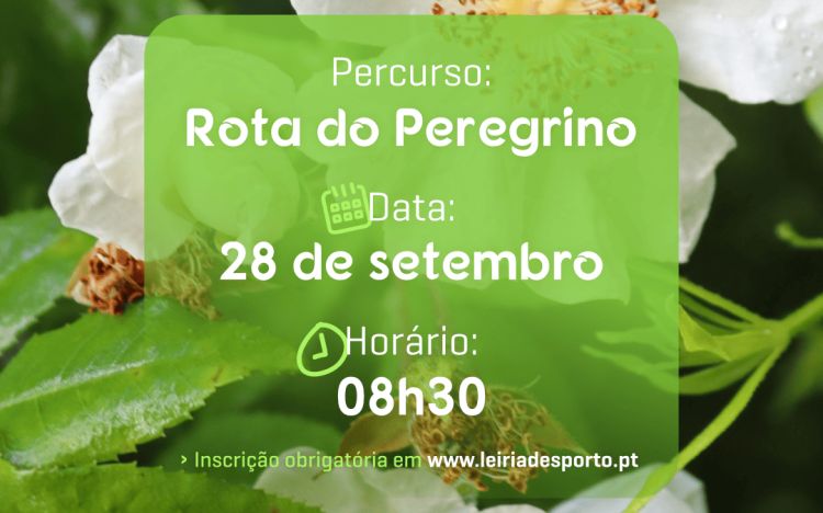 Percurso do Peregrino