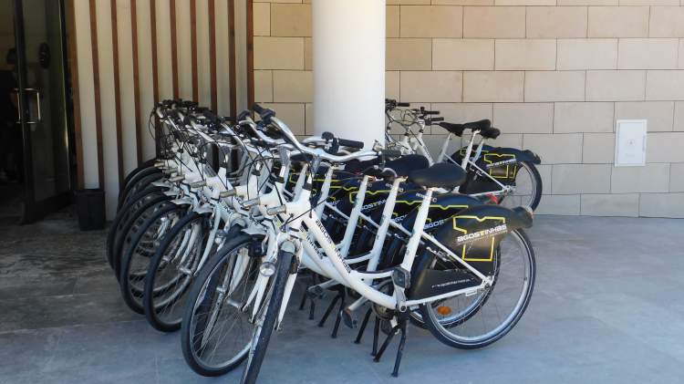 Pedalar pelo Ambiente