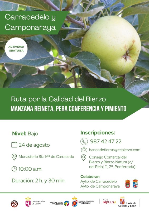 Ruta por la Calidad del Bierzo