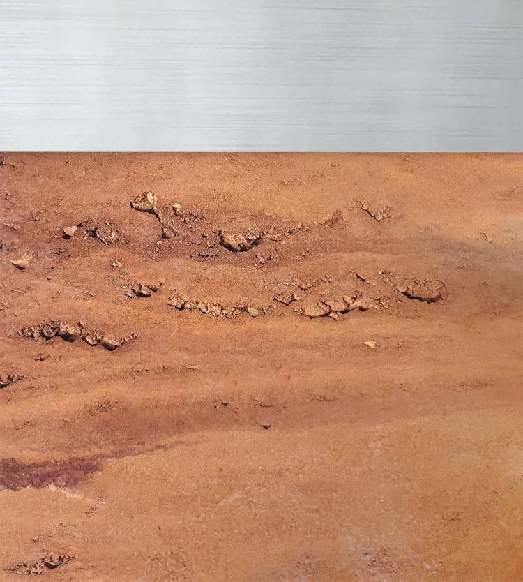 «SUBSTRATO #5» | Pedro Gramaxo