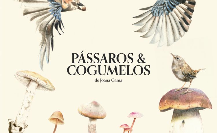 PÁSSAROS & COGUMELOS