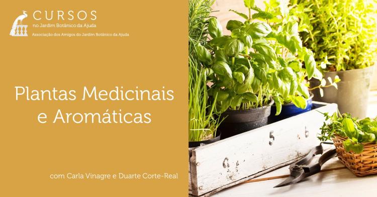 Plantas Medicinais e Aromáticas