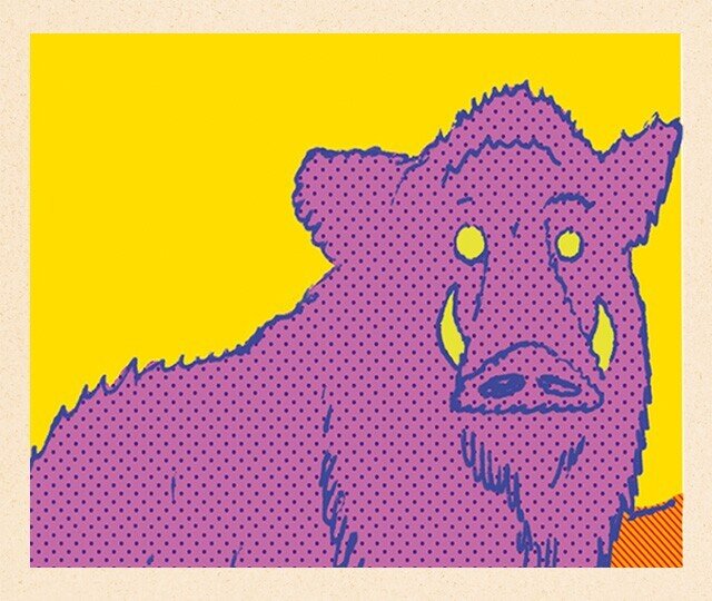 Lançamento da publicação Histórias à Sombra do Montado (n.º 3)