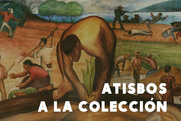 Visita a la exhibición 'Atisbos a la Colección' | MAC