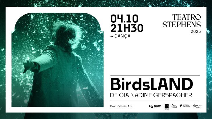 BirdsLAND - Teatro Stephens