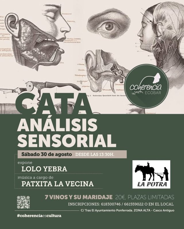 Cata y Análisis Sensorial en Coherencia Ecobar