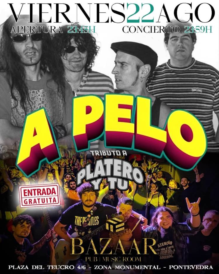 Concierto de A Pelo ( Tributo a Platero y Tú )