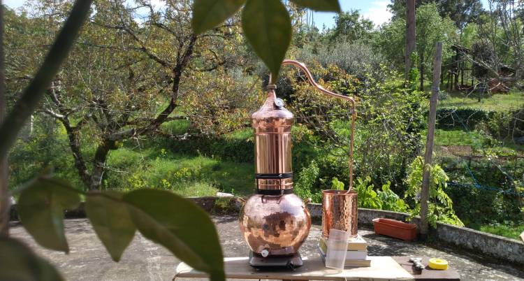 Oficina de Destilação Artesanal de Óleos Essenciais