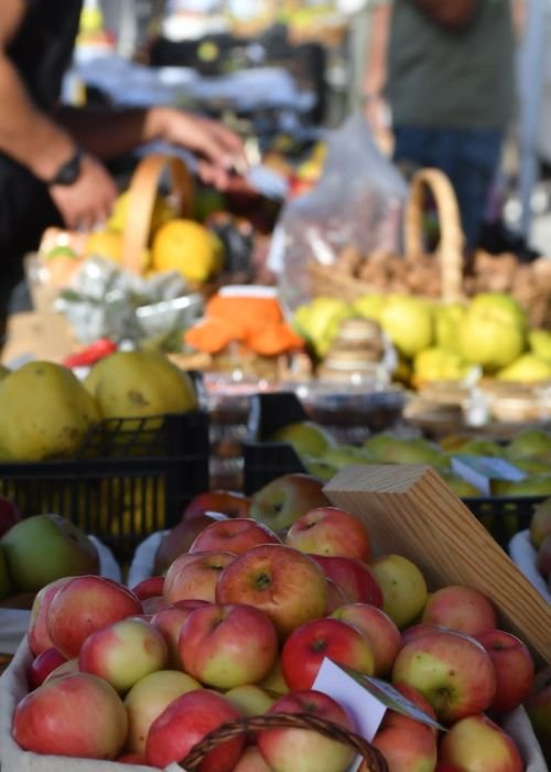 II Concurso Uma Maçã de Peso