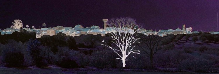 IV Caminhada Noturna de Canha