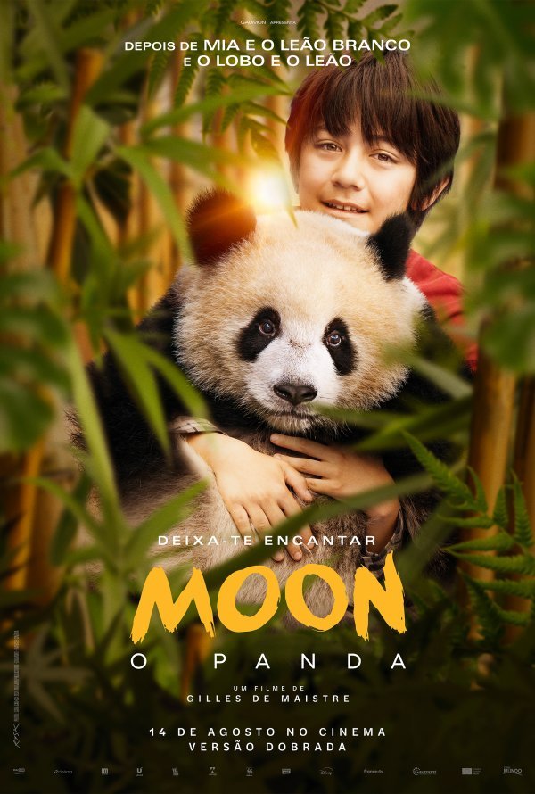 'Moon o Panda'  M/6