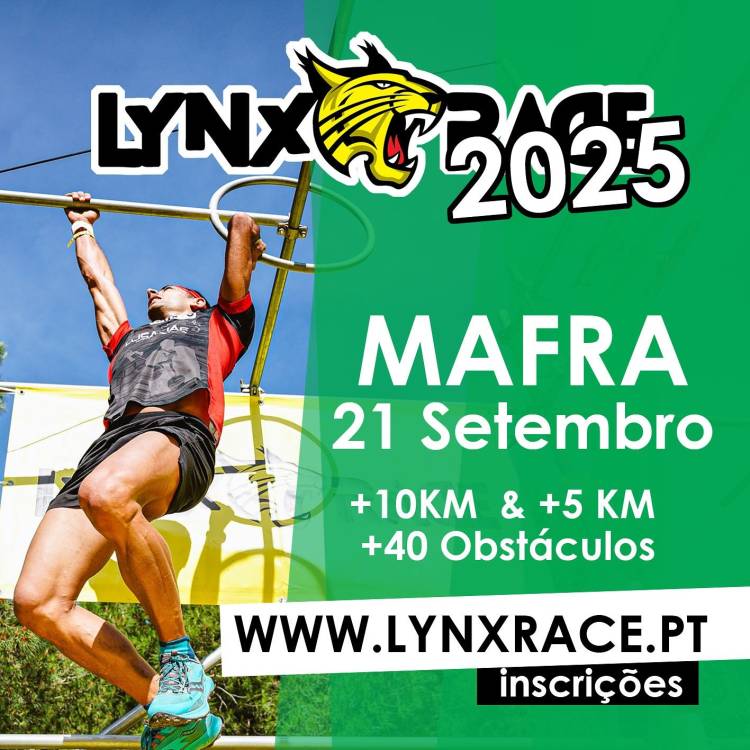 Circuito Lynnx Race