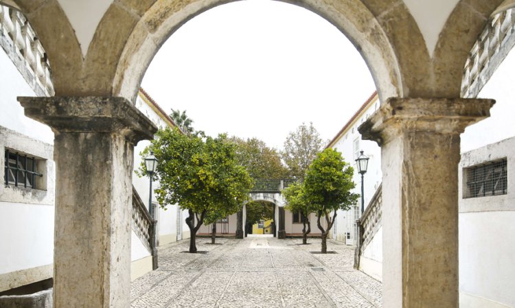 Visita  «Casa com Jardim»