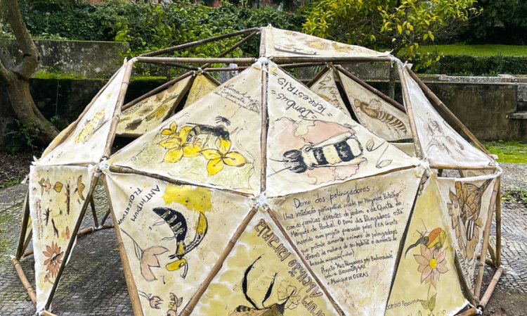 Domo da Polinização