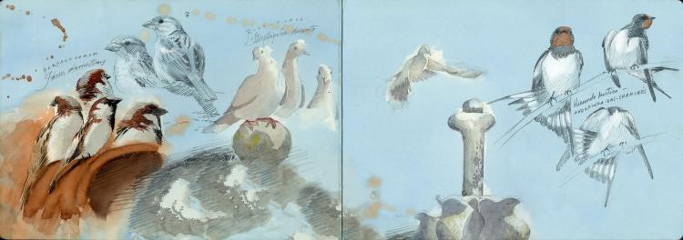 Oficina de Desenho de Natureza por Marco Nunes Correia