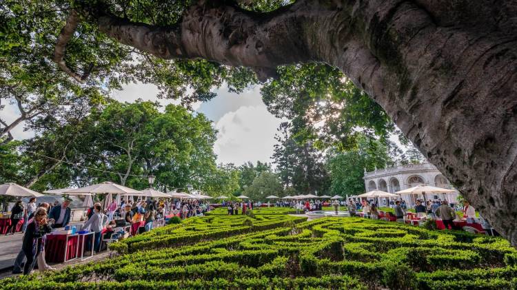Festa do Livro em Belém