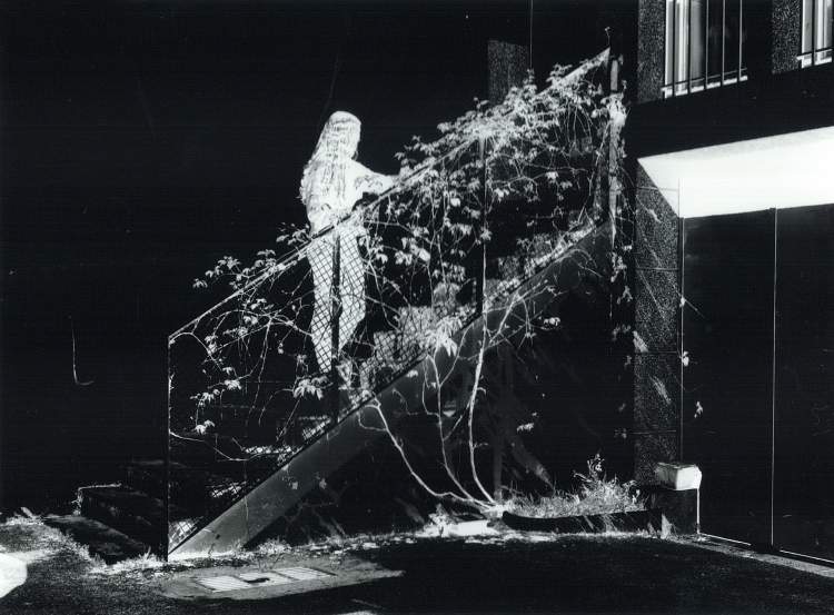 Casa da Juventude de Alverca do Ribatejo apresenta exposição de fotografia